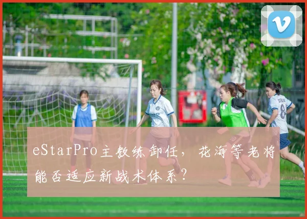 eStarPro主教练卸任,花海等老将能否适应新战术体系?